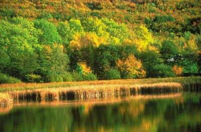 Photoshop 4.0: Foto-Quelle