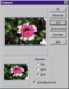Grafiken und Bilder effekvoll gestalten: ULeads Photo Impact