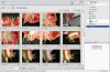 Adobe Photoshop Album 3.0 Starter Edition - Ordnungsmacht