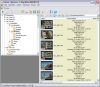 Bildverwaltung - XnView