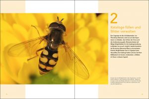 Elements 12-Titelseite