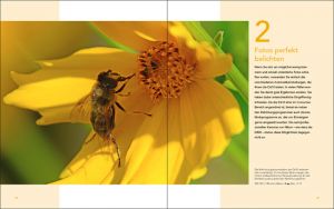 Nikon D610 Beispielseite