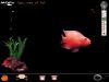 MOPy - Virtual Pet Fish: Ein Fisch im Netz!