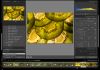 Lightroom: Professioneller Workflow
